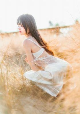 《白色橄榄树》电视剧_720电视剧在线观看